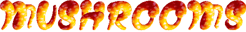 MUSHROOMSboldPERSONALUSE-ExIt font