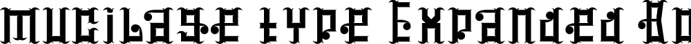 mucilage type Expanded Bold font