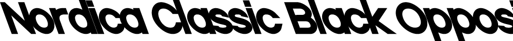 Preview image for Nordica Classic Black Opposite Oblique