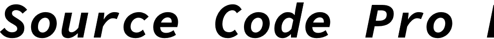 Preview image for Source Code Pro Bold Italic
