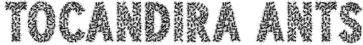 TOCANDIRA PERSONAL USE Bold font