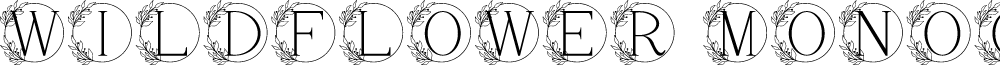 Wildflower Monogram Regular font