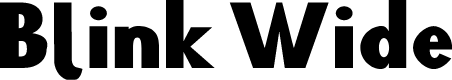 Preview image for Blink Wide