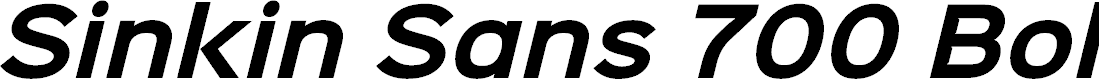 Preview image for Sinkin Sans 700 Bold Italic