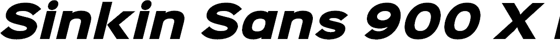 Preview image for Sinkin Sans 900 X Black Italic