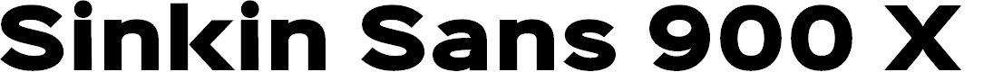 Preview image for Sinkin Sans 900 X Black