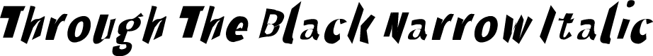 Preview image for Through The Black Narrow Italic
