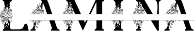 Lamina Personal Use Only Reg font