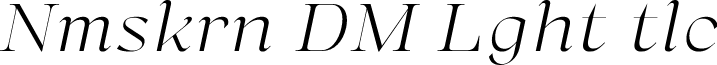 Namaskarn DEMO Light Italic