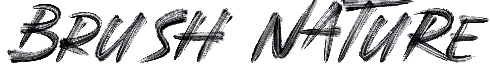 Brush Nature font