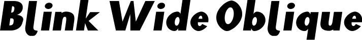 Preview image for Blink Wide Oblique