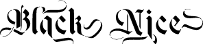 Black Nice Regular font