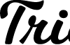 Trickshot PERSONAL USE Regular font