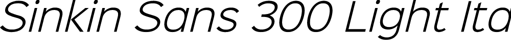 Preview image for Sinkin Sans 300 Light Italic