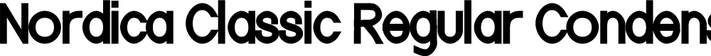 Preview image for Nordica Classic Regular Condensed