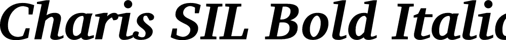 Preview image for Charis SIL Bold Italic