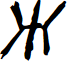 Unutterable Italic font
