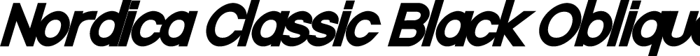 Preview image for Nordica Classic Black Oblique