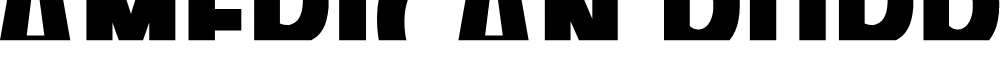 Preview image for American Purpose STRIPE 1 Bold