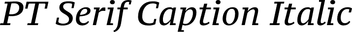 PT Serif Caption Italic