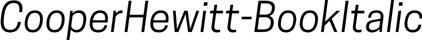 Preview image for CooperHewitt-BookItalic