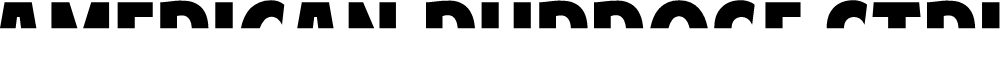 Preview image for American Purpose STRIPE 1 Normal Italic
