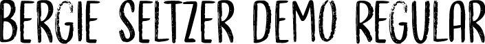 Bergie Seltzer DEMO Regular font