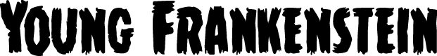 Young Frankenstein Regular