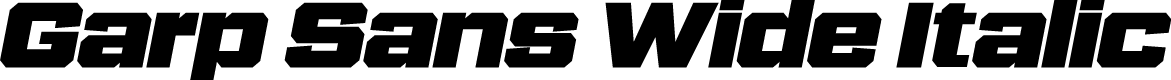 Garp Sans Wide Italic