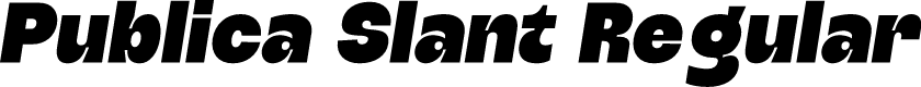 Publica Slant Regular