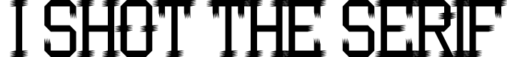I Shot the Serif Regular