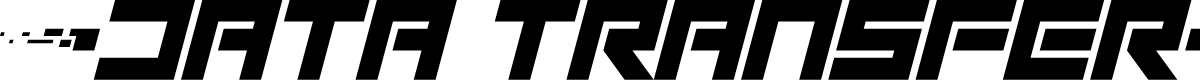 Data Transfer Italic