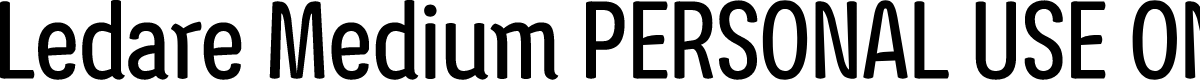 Ledare Medium PERSONAL USE ONLY