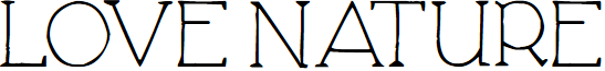 Love Nature