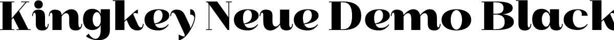 Kingkey Neue Demo Black