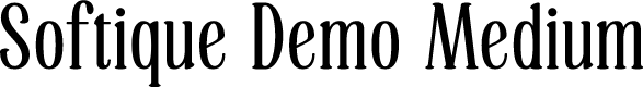 Softique Demo Medium