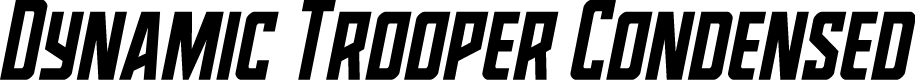Dynamic Trooper Condensed