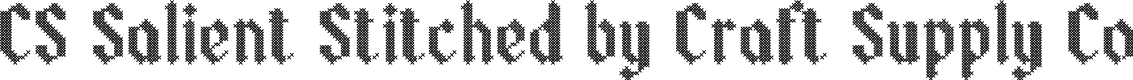 CS Salient Stitched Regular Demo