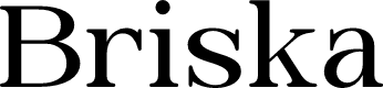 Briska Demo Regular