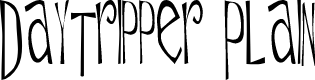 Daytripper Plain