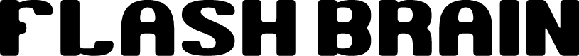 FLASH BRAIN