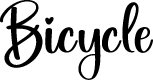 Bicycle