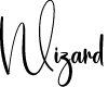 Wizard