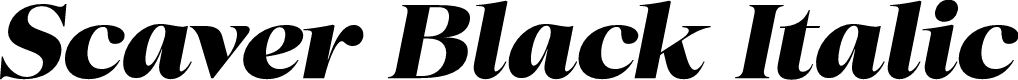 Scaver Black Italic