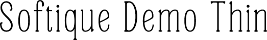 Softique Demo Thin