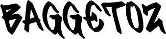 BAGGETOZ
