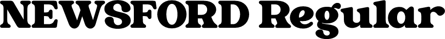 NEWSFORD Regular