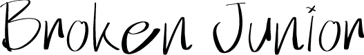 Broken Junior