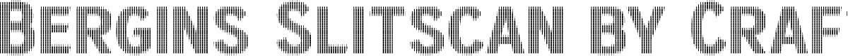 Bergins Slitscan Regular Demo