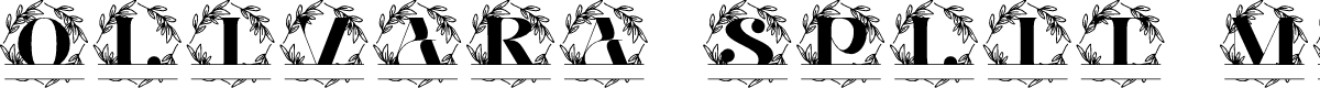 Olivara Split Monogram